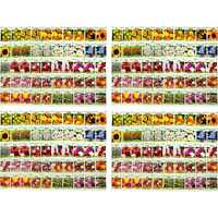 Set Of 200 Assorted Flower Seed Packets Flower Seeds In Bulk - 20 Varieties Available