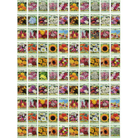 Set Of 100 Assorted Valley Green Flower Seed Packets Flower Seeds In Bulk - 20 Varieties Included