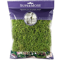 Supermoss (26907) Spanish Moss Preserved  Grass  4Oz  120 Cubic In Bag (Appx. 4Oz) (7 59834 26907 6)