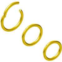 Newkeepsr 3Pcs-1.2Mm Gold Anodised Hinged Clicker Nose Hoop Rings  16 Gauge 316L Steel Seamless Segment Sleeper Earrings Piercing-8/9/10Mm