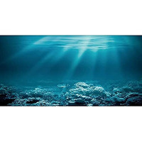 Awert 30X18 Inches Undersea Theme Aquarium Background Sunshine Underwater World Fish Tank Background Durable Polyester Background
