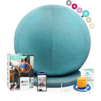 Enovi Probalanceo Ball Chair  Yoga Ball Chair Exercise Ball Chair With Slipcover And Base For Home Office Desk  Birthing & Pregnancy  Stability Ball & Balance Ball Seat To Relieve Back Pain  65Cm  Ab