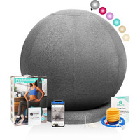 Enovi Probalanceo Ball Chair  Yoga Ball Chair Exercise Ball Chair With Slipcover And Base For Home Office Desk  Birthing & Pregnancy  Stability Ball & Balance Ball Seat To Relieve Back Pain  65Cm  Fg