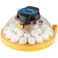 Brinsea Products Maxi 24 Advance Automatic 24 Egg Incubator  Yellow/Blue