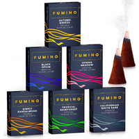 Fuminoa Fresh Incense Cones Multipack Bundle 6 Boxes 120 Cones Masala Agarbatti Joss Scent Fragrance For Relaxation And Meditation  Home And House Dacor
