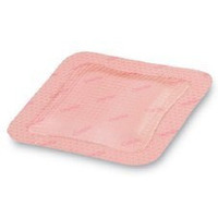 Allevyn Gentle Border - 10Cm X 10Cm (X10)
