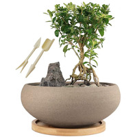 Muzhi Round Unglazed Ceramic Bonsai Pot With Bamboo Tray  Large Rough Pottery Succulent Planter With Drainage Hole 8 Inch ?