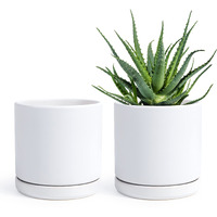 D'Vine Dev Set Of 2 Plants Pot  6 Inch Ceramic Planter Pot For Plants With Drainage Hole And Saucer  White  94-V-S-1
