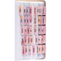 Diversebee Laminated Bible Tabs (Large Print  Easy To Read)  Bible Journaling Supplies  Bible Book Tabs  Christian Gift  66 Bible Tabs Old And New Testament  Includes 11 Blank Tabs (Boho)