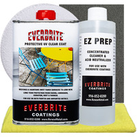 Everbrite Starter Kit (16 Oz.) Clear  Protective Coating For Metal