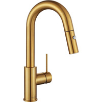 Aguastella As59Bg Brushed Gold Bar Faucet Or Prep Kitchen Sink Faucet With Pull Down Sprayer And Single Handle