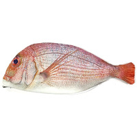 Allydrew Fish Novelty Pouch For Stationery Tools And Cosmetics  Fish Shaped Clutch  Pink Fish