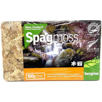 Spagmoss Premium New Zealand Sphagnum Moss Aa Grade (100 Gram)