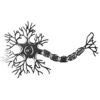 Malsa Neuron Ornament