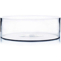 Wgv Cylinder Vase  Open Width 12""  Height 4""  Clear Flat Pan Style Container  Planter Terrarium  Floral Centerpiece For Wedding Party Event  Home Office Decor  1 Piece