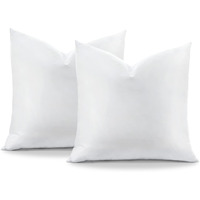 Otostar Pack Of 2 Down And Feather Throw Pillow Inserts  22 X 22 Soft Fluffy Square Pillow Inserts With 100% Cotton Cover Decorative Pillows For Sofa Couch Bed-White