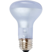 Agrosun/Dayspot Burp413 Incandescent Growlight Plant Bulb  60 Watt