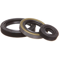 Replacementkits.Com - Brand Fits Polaris 1996-2013 400 & 500 Sportsman Scrambler Ranger & Magnum Engine Oil Seal Kit -