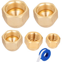 Breezliy Brass Flare Cap Assortment Kits  Sae 45 Degree Flared Tube Fitting For 1/4"" 5/16"" 3/8"" 1/2"" 5/8"" Tube Od 5 Sizes Set