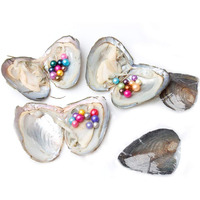 Jnmm 5Pc Pearl Oysters Freshwater Cultured With 10 Mix Color Round Love Wish Oysters With Pearls Inside 10 Colors (7-8Mm)  Valentines Mothers Day Birthday Gifts Pearl Wedding Party (Total 50 Pearls)