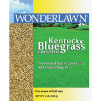 Grass Seed Blnd Kbg1#