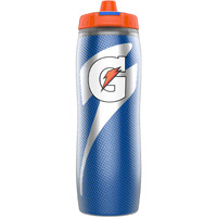 Gatorade Insulated Squeeze Bottle  Blue  30Oz
