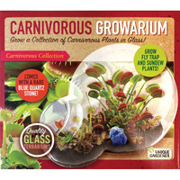 Grow Your Own Venus Fly Trap - Complete Kids Terrarium Kit To Sprout Fly Trap And Sundew Plants - Includes Everything Needed For The Plants To Thrive