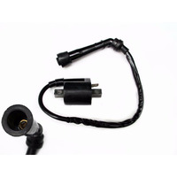 Ignition Coil Fits Yamaha Bruin 350 2Wd 4Wd 2004-2006
