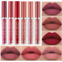 Bestland 6Pcs Matte Liquid Lipstick Makeup Set  Matte Liquid Long-Lasting Wear Non-Stick Cup Not Fade Waterproof Lip Gloss (Set C)