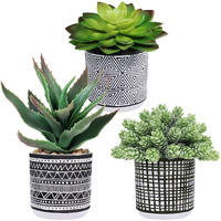 Winlyn Set Of 3 Assorted Small Potted Succulents Arrangement Artificial Succulent Plants In Black And White Geometric Pots For Table Centerpiece Windowsill Shelf Indoor Outdoor Garden Greenery Decor