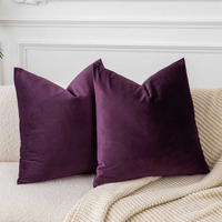 Juspurbet Eggplant Purple 16X16 Inch Velvet Throw Pillow Covers With Invisible Zipper For Home Decor Decorative Soft Velvet Sofa Cushion Covers Set Of 2