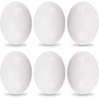 Yunko 6Pcs Wooden Fake Nest Eggs Easter Eggs For Crafts Home Decor Pating Get Hens To Lay Eggs White