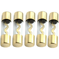 Etopars 5 X 40A Agu Fuse  Transparent Glass Tube  Gold Plated Cap  Metal Internal Material  12V Car Power Safety