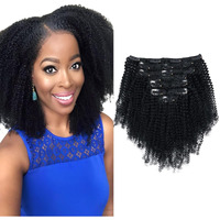 Sassina Afro Coily Clip In Human Hair Extensions For Black Women Double Wefts Remy Clip Ins Hair Extensions Human Hair Jet Black 7 Pieces With 17 Clips 120 Grams Color #1 12 Inch