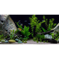 Awert Vinyl Underwater Aquatic Plant Fish Tank Background Stone River Bed & Lake Aquarium Background 30X18 Inches