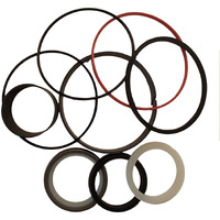 Raparts G110582 Dipper Cylinder Seal Kit Fits Case Backhoe Loader 580 Super K Rod & Bore