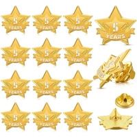 Tigeen 12 Pcs Year Service Reward Pins Star Enamel Pins Pins Year Of Service Award Lapel Pin For Long Standing Employees Volunteers Couples Anniversary (5 Years)