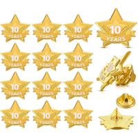 Tigeen 12 Pcs Year Service Reward Pins Star Enamel Pins Pins Year Of Service Award Lapel Pin For Long Standing Employees Volunteers Couples Anniversary (10 Years)