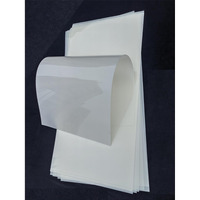 Banltre 12 X 24"" Flat Packaging Mylar Sheet Milky Translucent Pet Blank Stencil Making Sheet For Cricut  Silhouette  Cut Tool Template Material -Thick .01""/10 Mil  8 Sheets (Flat Packaging)