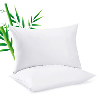 2 Pack Cooling Pillowcasess For Hot Sleepers & Night Sweats  400 Tc Bamboo Viscose Pillow Protectors  Zippered Pillow Cases King Size  Breathable Silky Soft Pillow Covers  White  20X36