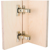 Blum Clip Top 110 Degree Face Frame  Inset Hinge With Blumotion (Set Of 2)