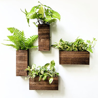 Lalagreen Wood Planter Box For Plants (4 Pack) Wooden Hanging Wall Planters For Indoor Plant Holder Vase For Dried Flowers  Modern Living Room Bedroom Kitchen Home Office Decor