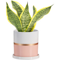 Ekirlin 5 Inch Plant Pot - Ceramic Flower Planters Indoor - Modern Succulents Containers With Drain Hole Saucer  Decorate Home  Office & Outdoor (Pink)