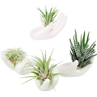 4 Pack Air Plant Holders Unique Ceramic Mini Airplants Stand Tillandsia Succulent Display Container Pot Cute Home Decor For Desk Table Shelf Window  White