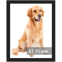 Run Helix A3 Picture Frame Black For Wall Hanging  Wall Mounting Horizontally Or Vertically  11.7 X 16.5 Inch Wall Gallery Poster Photo Frame With Durable Shatter Resistant Plexiglass  Black