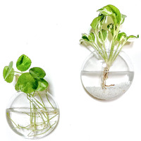 Kingbuy Wall Hanging Glass Planters Oblate Globe Propagation Station Wall-Mounted Flower Vases Perfect For Air Plant Terrariums Home Decor  Clear  2 Pack
