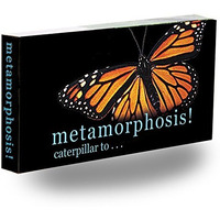 Fliptomania Caterpillar To Monarch Butterfly Metamorphosis Flipbook