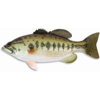 Lx Handpainted Large Mouth Bass Wall Mount Decor Plaque Game Fish Replica 18""