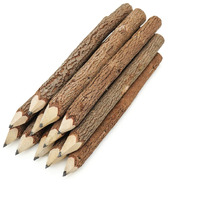 Bsiri Pencil Wood Graphite Wooden Tree Rustic Twig Pencils Birch Of 12 Camping Lumberjack Decorations Party Supplies Novelty Gifts Bark Pencils Gifts For Kids In Classroom