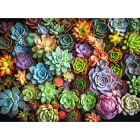 Cross & Glory - Succulent Symphony - 1000 Piece Jigsaw Puzzle For Adults | Premium Quality | Colorful Artwork Puzzle | Brain Teasing Fun & Perfect Wall Art